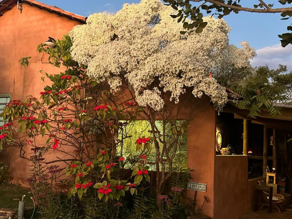 Pousada Refugio Da Serra Pirenopolis Ngoại thất bức ảnh