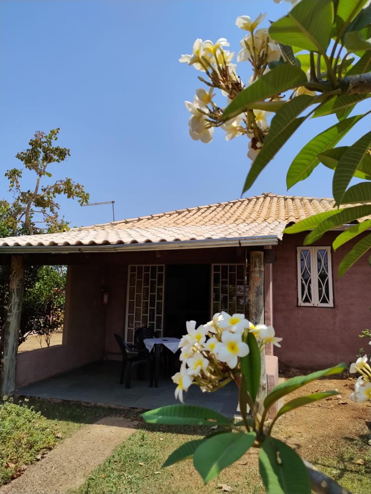 Pousada Refugio Da Serra Pirenopolis Phòng bức ảnh